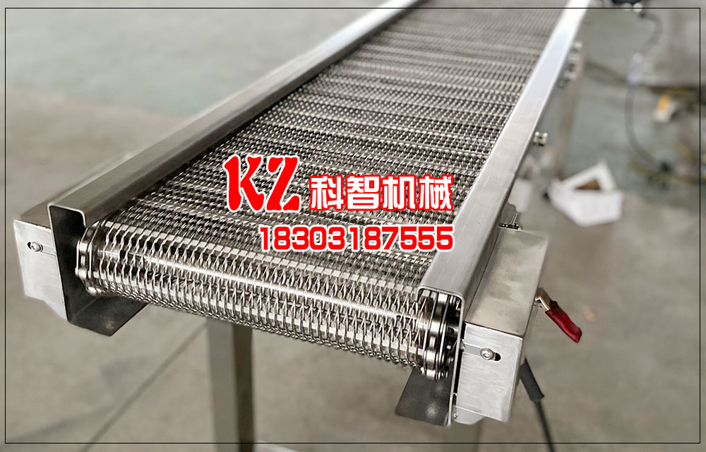 生產(chǎn)線小型網(wǎng)帶輸送機(jī)