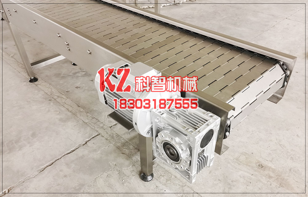 速凍線鏈板輸送機(jī)